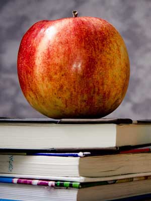 Web漏洞扫描工具